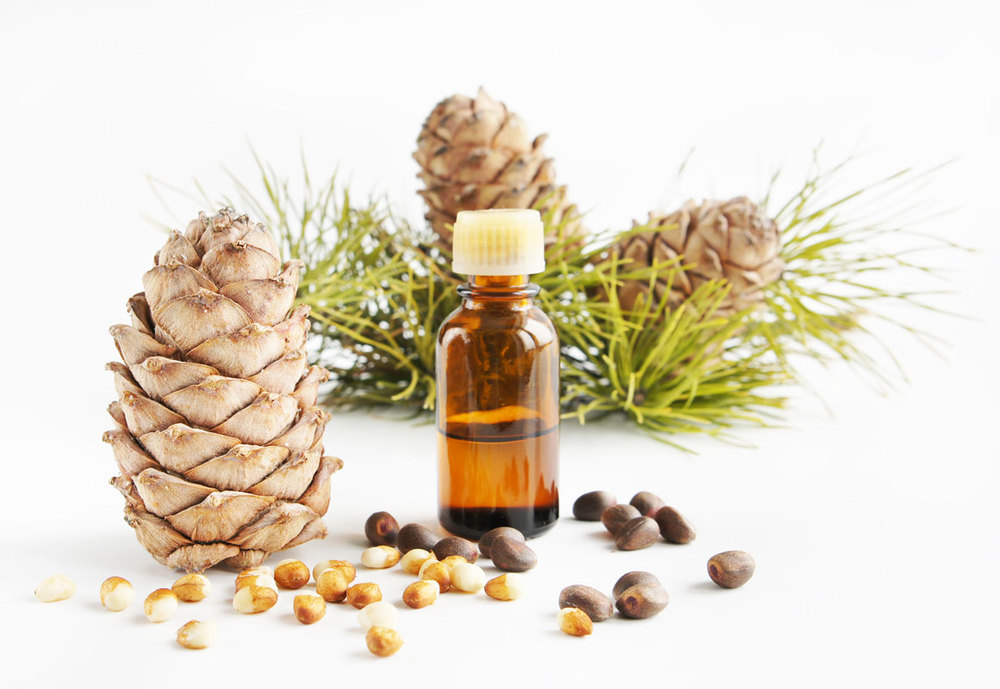 CEDARWOOD Essential Oil .5 oz