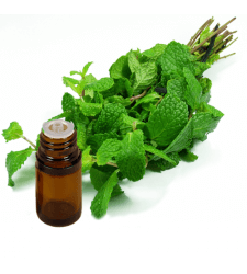 PEPPERMINT Natural Yakima Essential Oil .5 oz